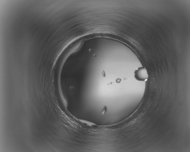 X0000052940926200507300014