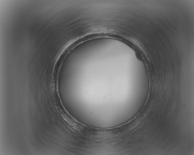 X0000052940927200507300014