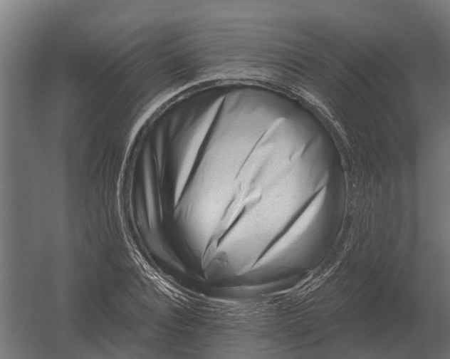 X0000052940928200507300014