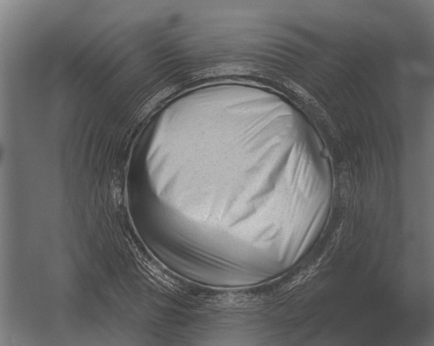 X0000052940929200507300014