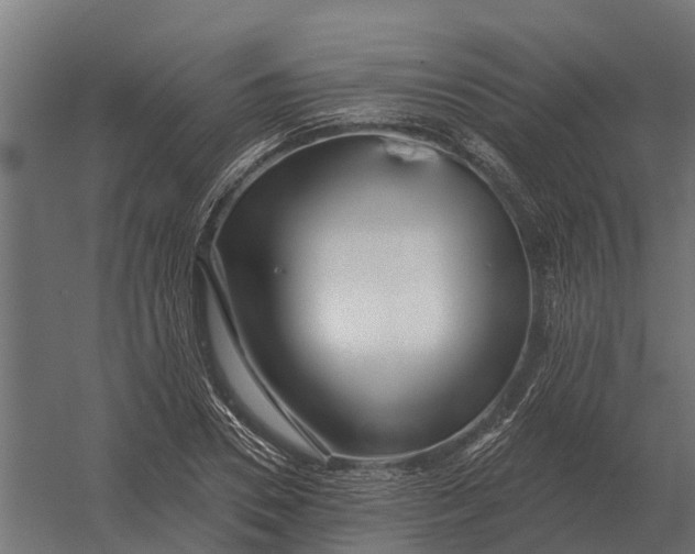 X0000052940930200507300014