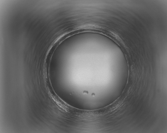 X0000052940931200507300014