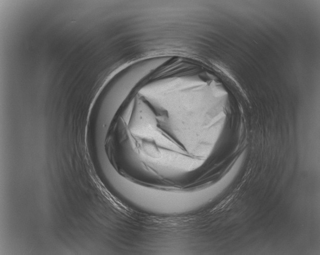 X0000052940932200507300014