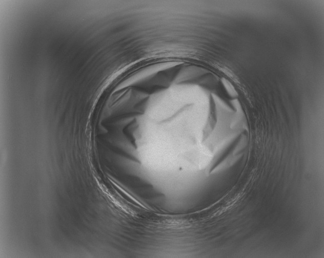 X0000052940933200507300014