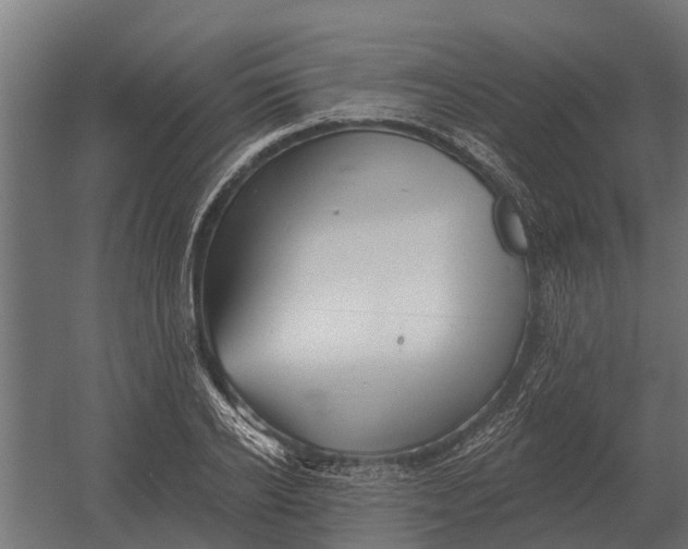 X0000052940934200507300014