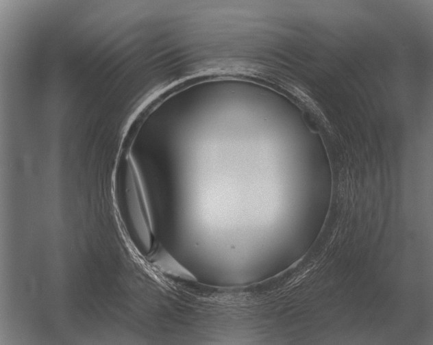 X0000052940936200507300014