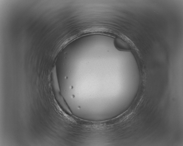 X0000052940937200507300014