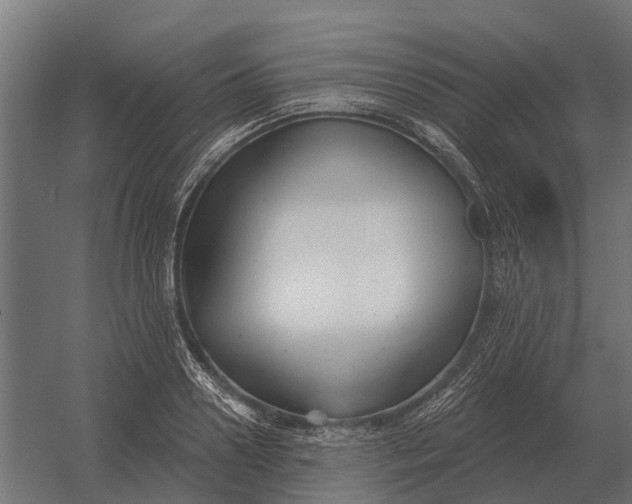 X0000052940938200507300014