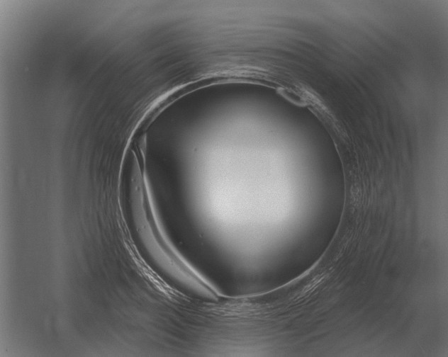 X0000052940940200507300014