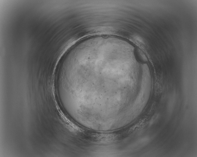 X0000052940941200507300014