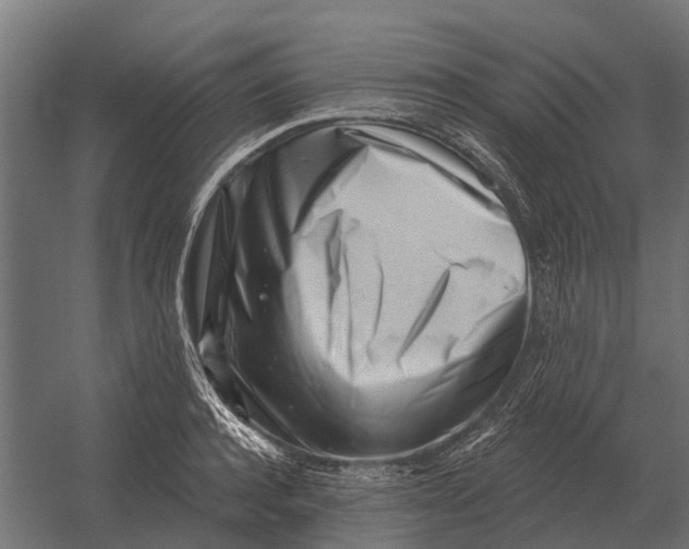 X0000052940944200507300014