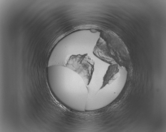 X0000052940945200507300015