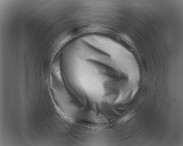 X0000052940946200507300015