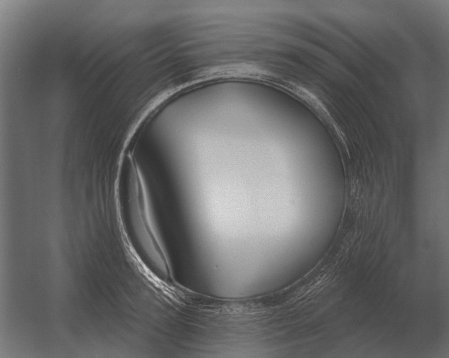 X0000052940947200507300015