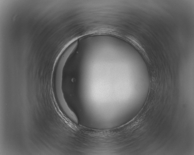 X0000052940948200507300015