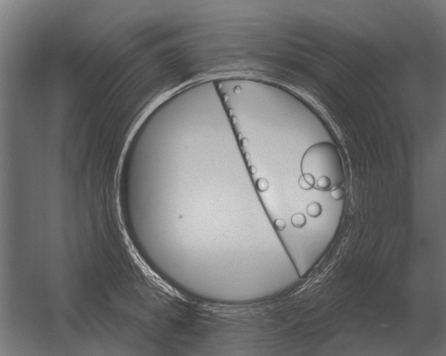 X0000052940949200507300015