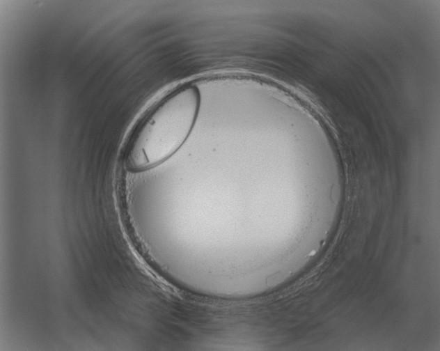 X0000052940950200507300015