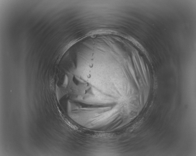 X0000052940953200507300015