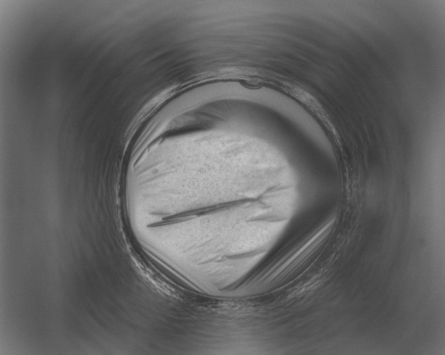 X0000052940954200507300015