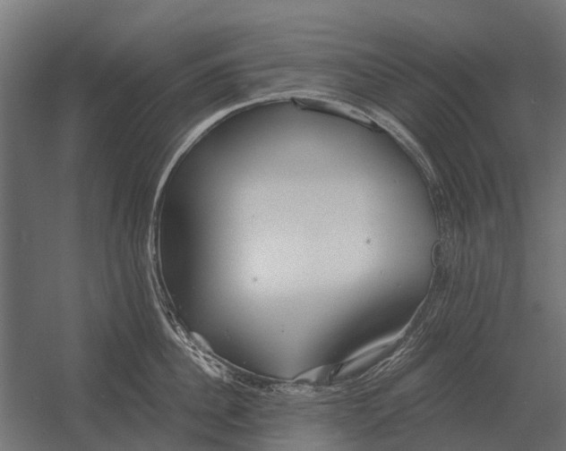 X0000052940956200507300015