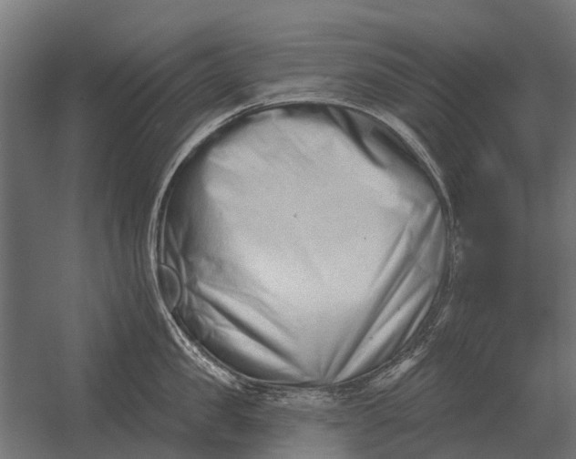 X0000052940957200507300015