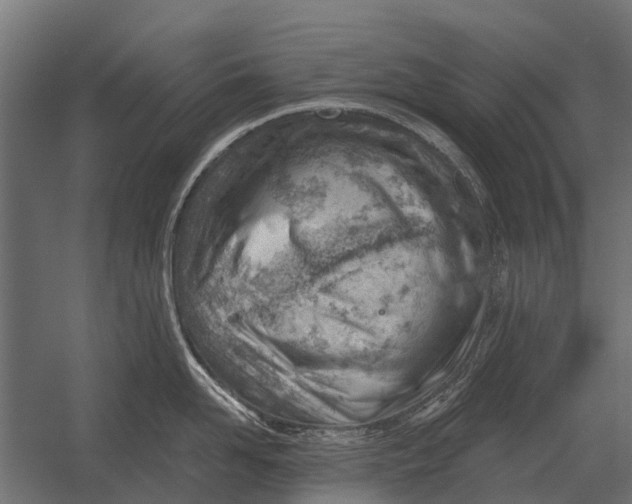 X0000052940958200507300015