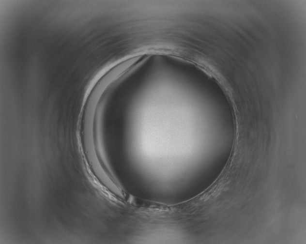 X0000052940960200507300015