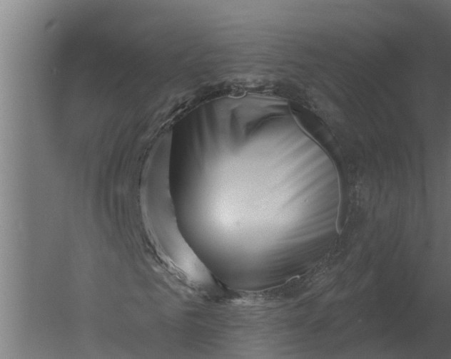 X0000052940961200507300014