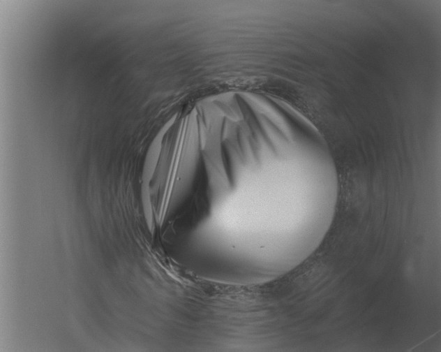 X0000052940962200507300014