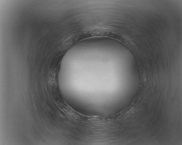 X0000052940964200507300014