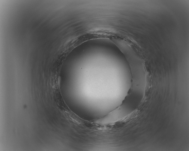 X0000052940965200507300014