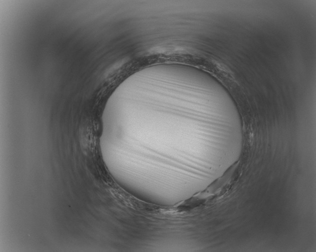 X0000052940966200507300014