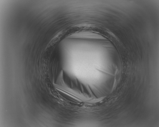 X0000052940967200507300014