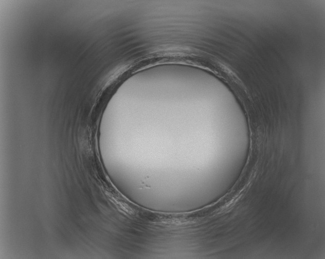 X0000052940970200507300014