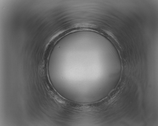 X0000052940971200507300014