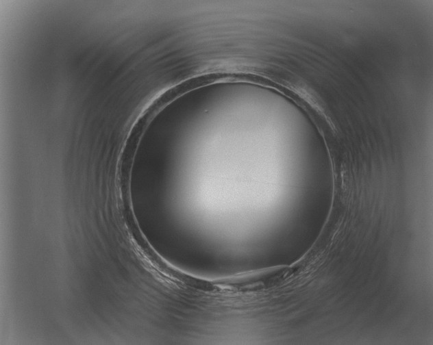 X0000052940972200507300014