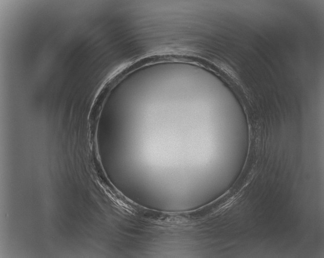 X0000052940974200507300014