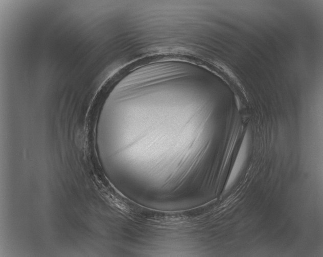 X0000052940975200507300014