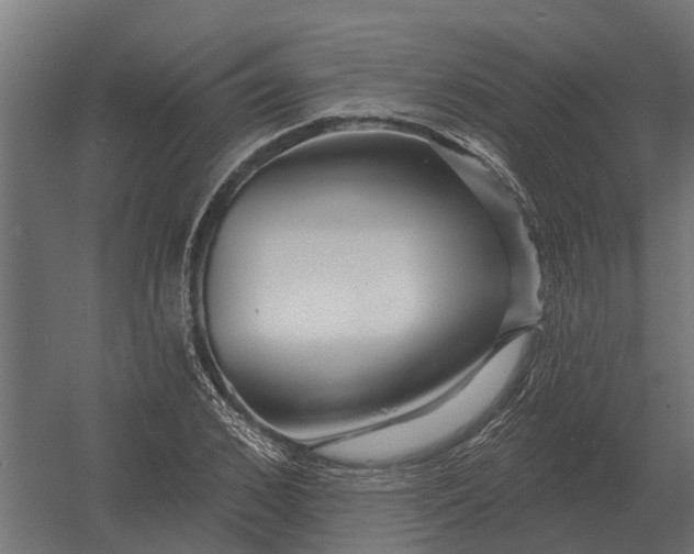 X0000052940976200507300014