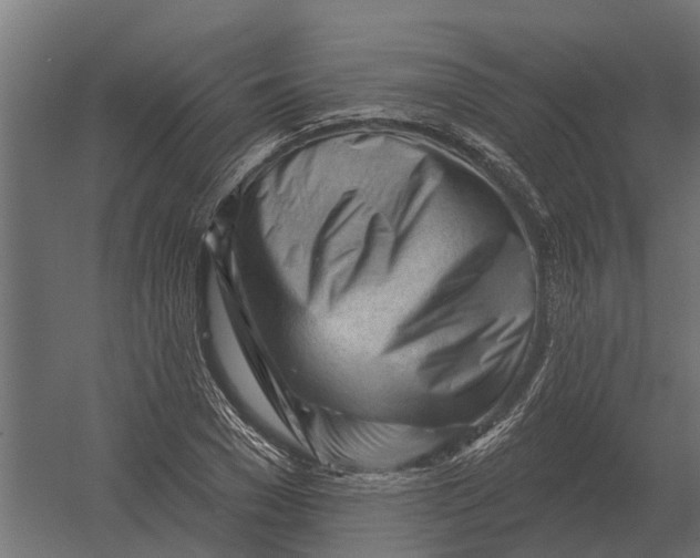 X0000052940977200507300014