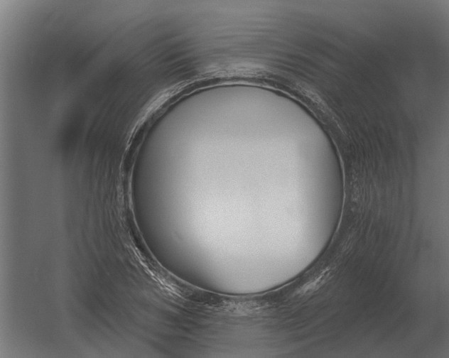 X0000052940978200507300014