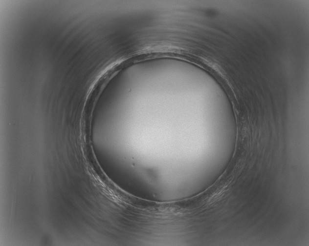 X0000052940979200507300014