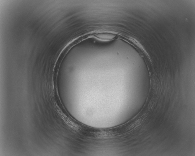 X0000052940980200507300014