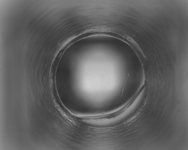 X0000052940981200507300014