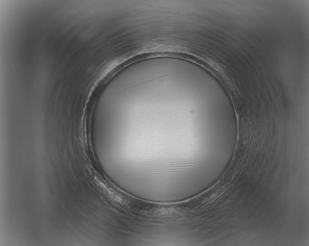 X0000052940982200507300014