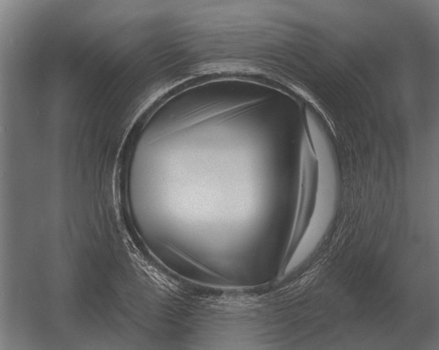 X0000052940983200507300014