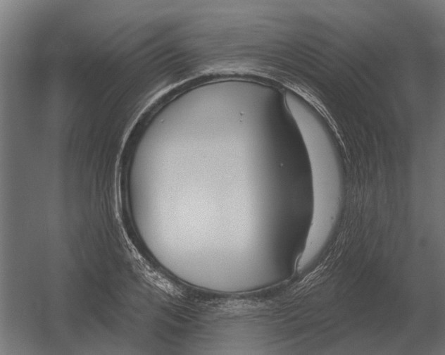 X0000052940984200507300014