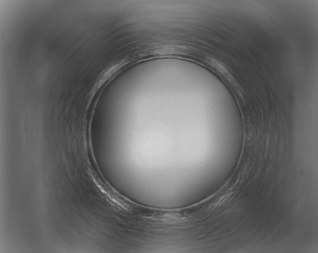 X0000052940986200507300014