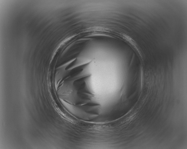 X0000052940987200507300014