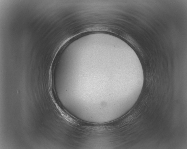 X0000052940988200507300013